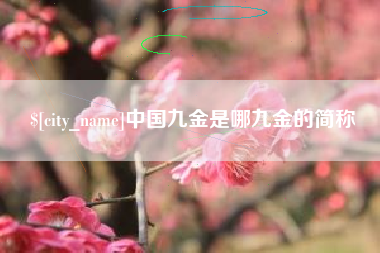 韶关中国九金是哪九金的简称