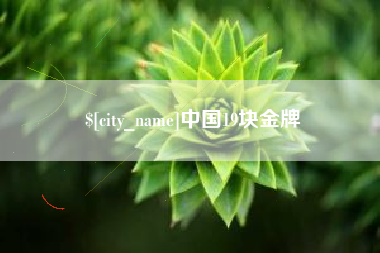 韶关中国19块金牌