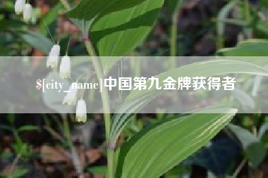 韶关中国第九金牌获得者