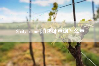 韶关消防证查询怎么查