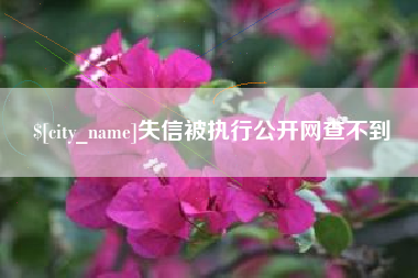 韶关失信被执行公开网查不到