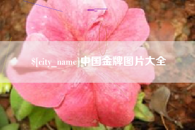 韶关中国金牌图片大全