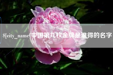 韶关中国第九枚金牌是谁得的名字