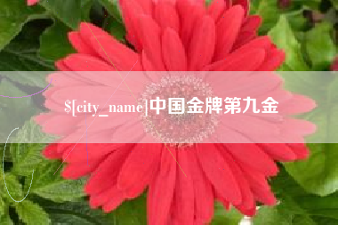韶关中国金牌第九金