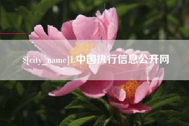 韶关1.中国执行信息公开网