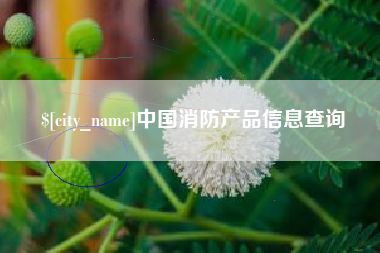 韶关中国消防产品信息查询