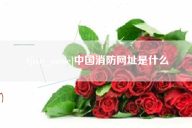 韶关中国消防网址是什么