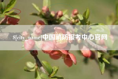 韶关中国消防报考中心官网