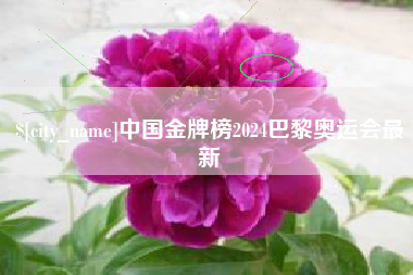韶关中国金牌榜2024巴黎奥运会最新