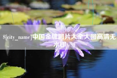 韶关中国金牌图片大全大图高清无水印