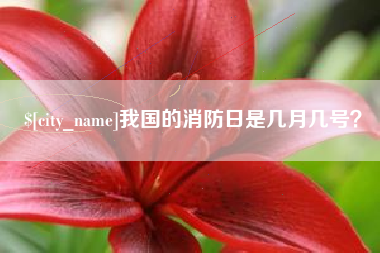 韶关我国的消防日是几月几号？