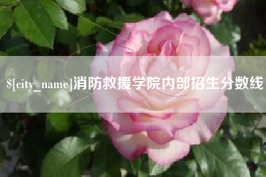 韶关消防救援学院内部招生分数线