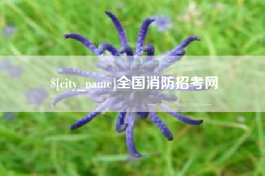 韶关全国消防招考网