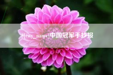 韶关中国冠军手抄报