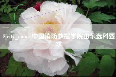 韶关中国消防救援学院山东选科要求