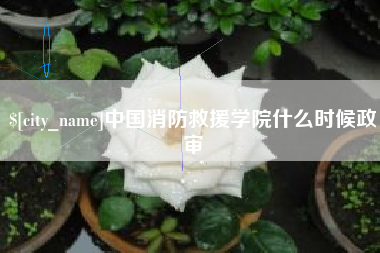 韶关中国消防救援学院什么时候政审
