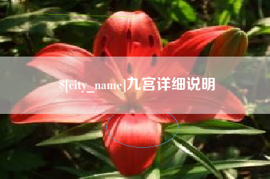韶关九宫详细说明