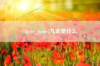 韶关九金是什么