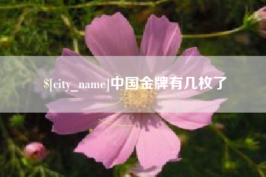 韶关中国金牌有几枚了