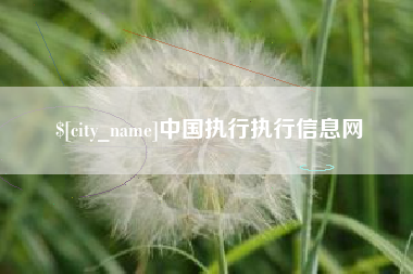 韶关中国执行执行信息网