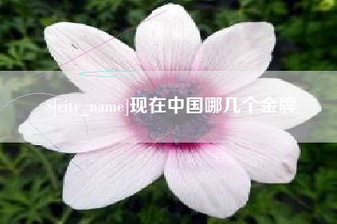 韶关现在中国哪几个金牌