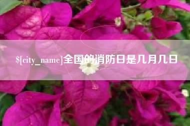 韶关全国的消防日是几月几日