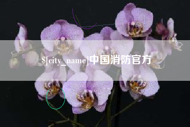 韶关中国消防官方