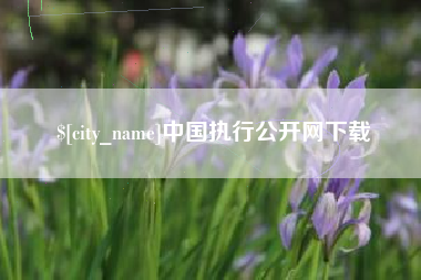 韶关中国执行公开网下载