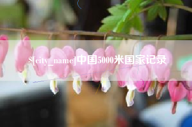 韶关中国5000米国家记录