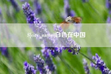 韶关白色在中国