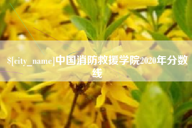 韶关中国消防救援学院2020年分数线