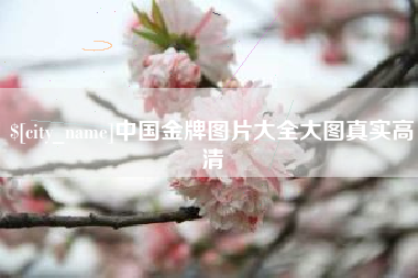 韶关中国金牌图片大全大图真实高清