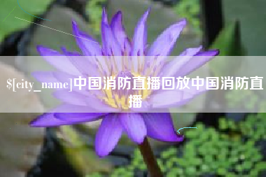 韶关中国消防直播回放中国消防直播