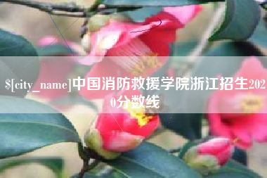 韶关中国消防救援学院浙江招生2020分数线
