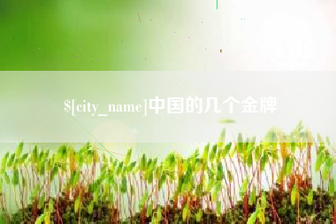 韶关中国的几个金牌