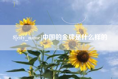 韶关中国的金牌是什么样的