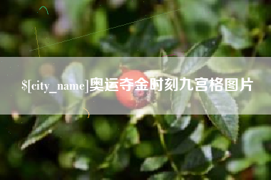 韶关奥运夺金时刻九宫格图片