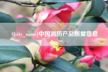 韶关中国消防产品质量信息