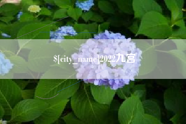 韶关2022九宫
