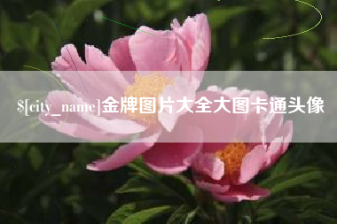 韶关金牌图片大全大图卡通头像