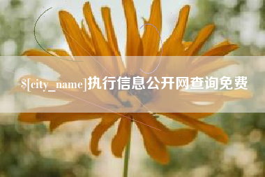 韶关执行信息公开网查询免费